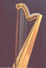 paraguayan harp