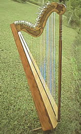 paraguayan harp