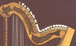 paraguayan harp neck